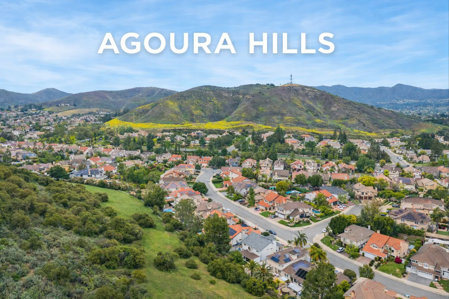 Professional cleaning service in Agoura Hills