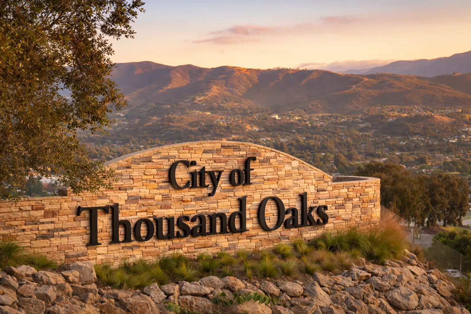 Professional cleaning service in Thousand Oaks